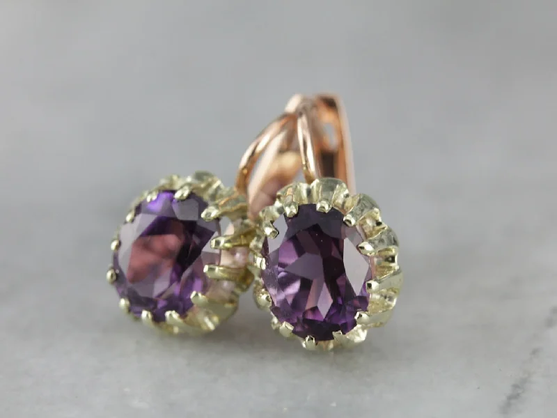 Chunky Earrings For Modern Fashion-Amethyst Two Tone Gold Drop Earrings